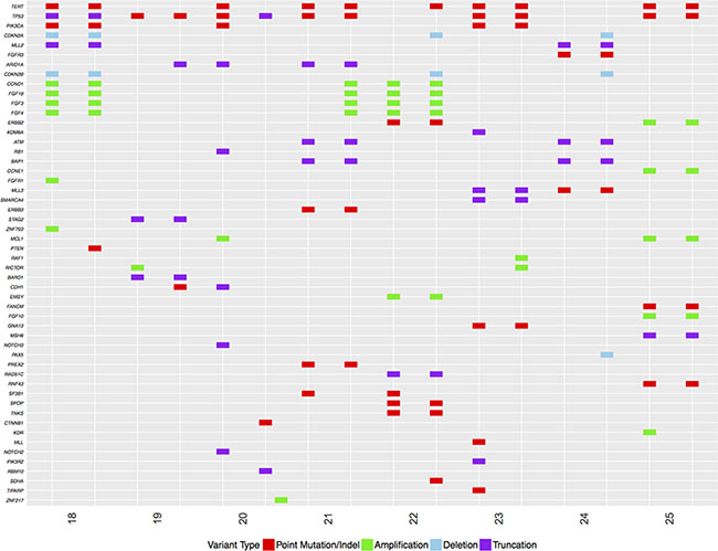 Comparison of genetic features of the same tumors at presentation versus features at progression.