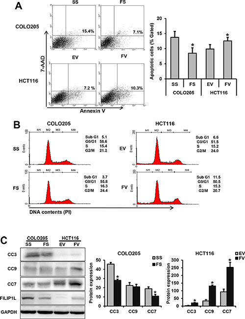 FILIP1L promotes apoptosis and cell cycle arrest in human colorectal cancer cells.
