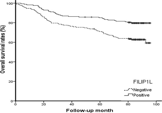 Kaplan-Meier survival curve showing the association between overall survival and positive (solid line) or negative (dotted line) FILIP1L expression.