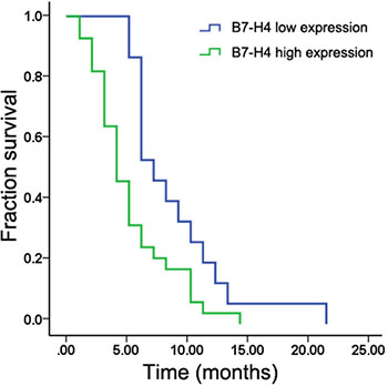 Kaplan&#x2013;Meier analysis showing that patients with liver metastases with high B7-H4 expression had shorter survival than those with low expression (p &#x003C; 0.05).