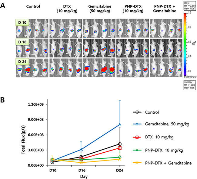 Preclinical efficacy of PNP-DTX in orthotopic mouse model.