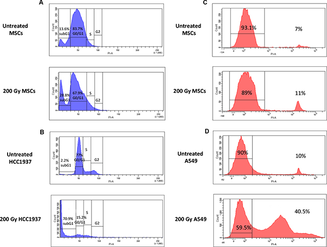 Cell-cycle and cell-viability analysis of untreated and 200 Gy irradiated and starved MSCs.
