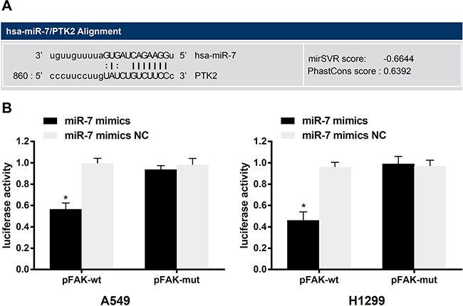 MicroRNA.