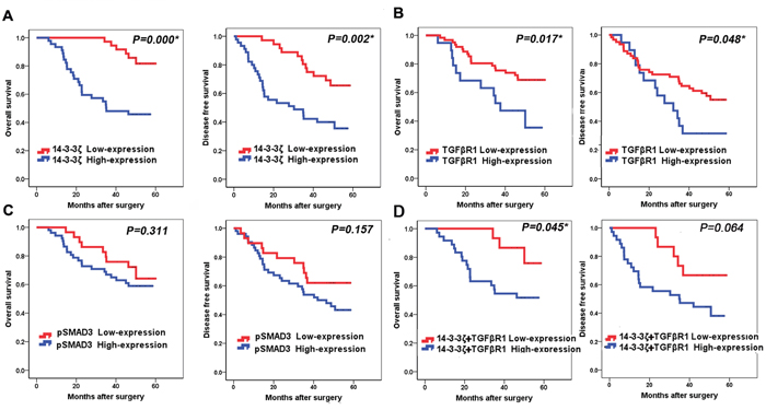 Association of 14-3-3&#x03B6;, TGF&#x03B2;R1 and pSMAD3 proteins with survival of lung SCC patients.