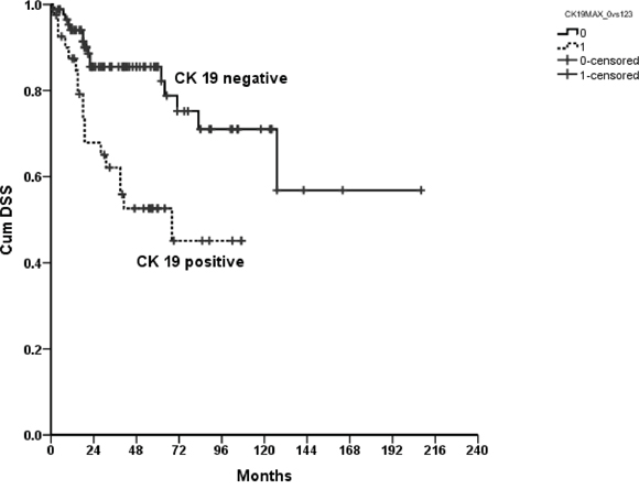 Kaplan Meier curve showing a statistically significantly improved disease specific survival for patients with negative compared to positive CK19 immunoreactivity of their tumors; p=0.001.