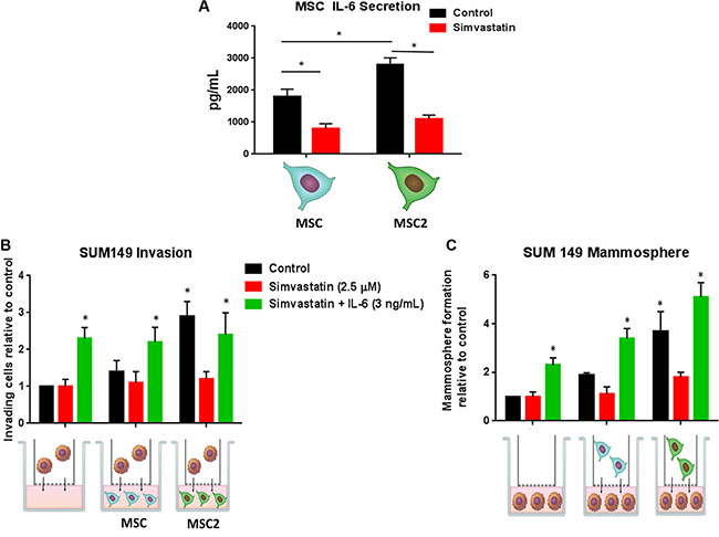 Simvastatin blocks IL-6 secretion and inhibits the effects of M2 educated MSCs on IBC invasion and self-renewal.