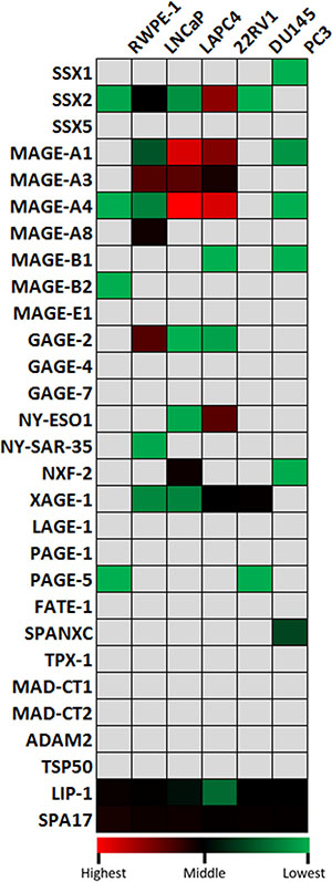 Quantitative analysis of baseline expression of cancer/testis antigen mRNA in 5 PC cell lines and in the RWPE-1 normal epithelial cell line.