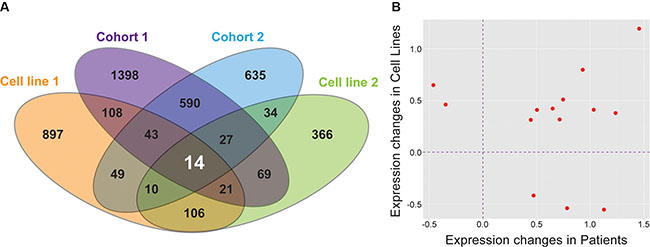 Nine genes are differentially expressed in all datasets and are significant on multiple analyses.