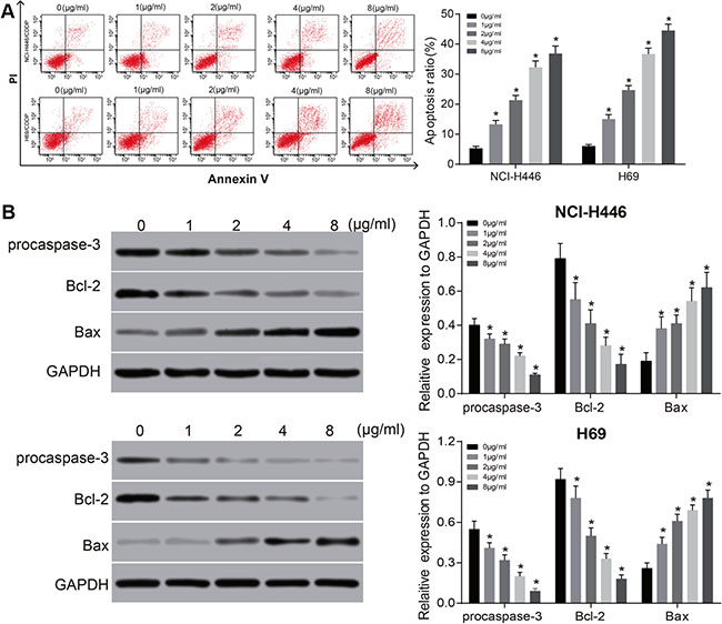 Effects of different doses of tunicamycin on the apoptosis of NCI-H446 and H69 cells.