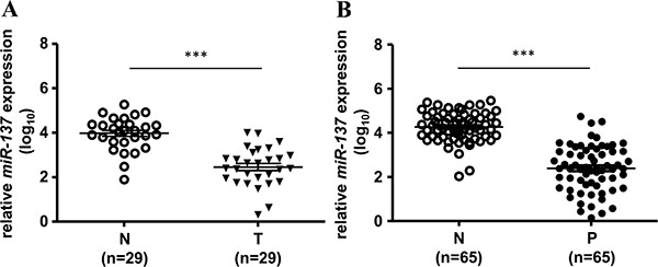 The expression of miR-137 is decreased in human colorectal cancer tissues and colon polyps.