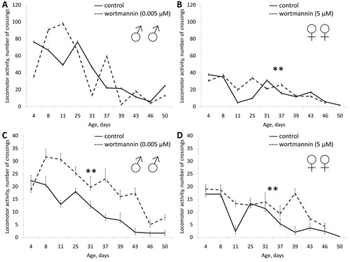 Effect of wortmannin (0.005 &micro;&#x41c;) on locomotor activity Drosophila melanogaster.