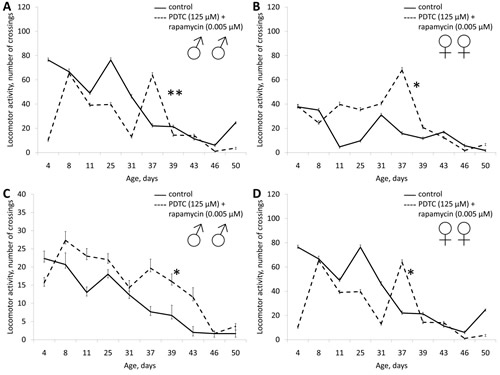 Effect of combined use of PDTC (125 &micro;&#x41c;) and rapamycin (0.005 &micro;&#x41c;) on locomotor activity Drosophila melanogaster.