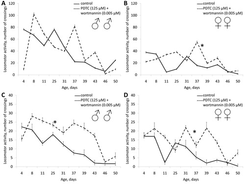 Effect of combined use of PDTC (125 &micro;&#x41c;) and wortmannin (0.005 &micro;&#x41c;) on locomotor activity Drosophila melanogaster.