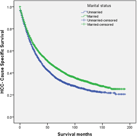 Survival curves in hepatocellular carcinoma patients treated with surgical resection between the unmarried patients and the married patients.