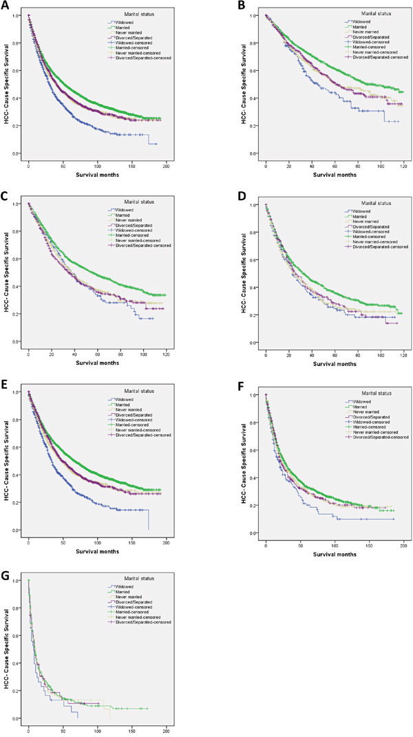 Survival curves in hepatocellular carcinoma patients according to marital status.
