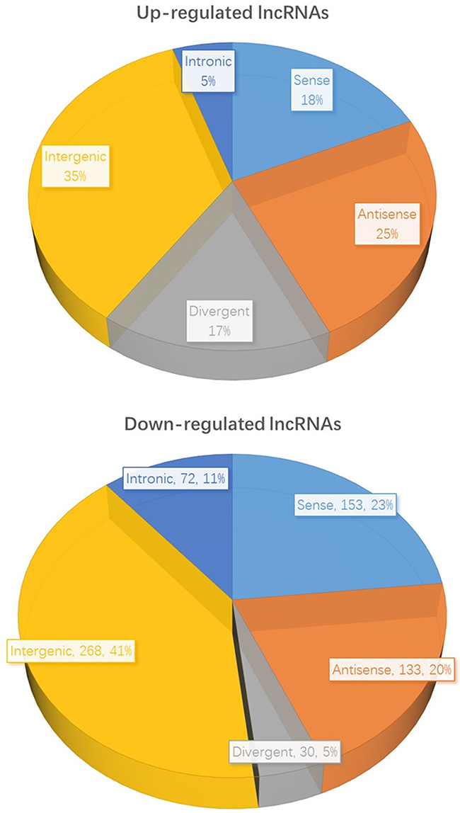 The classification of differentially expressed lncRNAs in HCC and normal tissues.