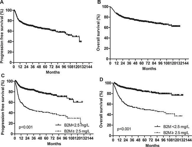 Progression-free survival and overall survival in the training cohort.