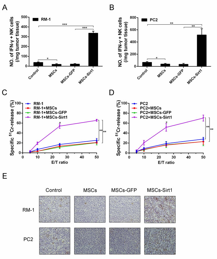 Tumor infiltrating NK cells evaluation in tumor-bearing mice.