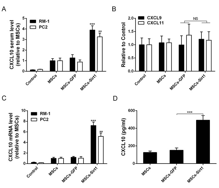 Evaluation of chemotactic factor CXCL10 production.