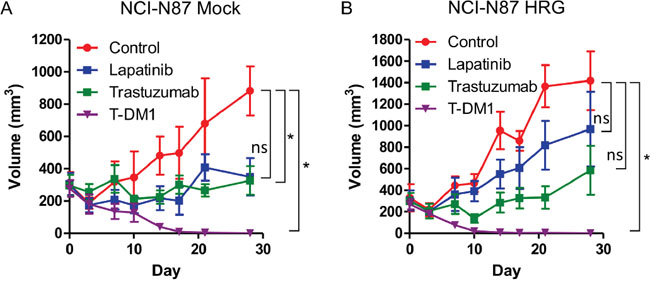 In vivo antitumor efficacy of lapatinib, trastuzumab and T-DM1 in NCI-N87 cells.