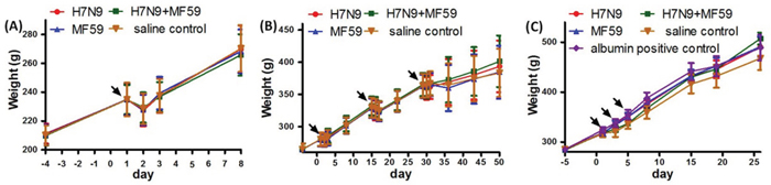 Weight change of rats from the A. acute toxicity test, B. repeated dose toxicity test, and C. active systemic anaphylaxis test.