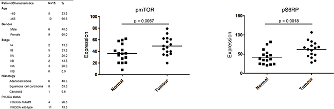 PI3K activation in NSCLC patients Phosphorylation of mTOR and pS6RP was profiled in 15 matched tumour and normal NSCLC patient fresh tissue samples.