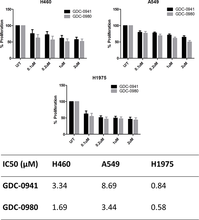 Comparison of the anti-proliferative effects of GDC-0941 and GDC-0980 in NSCLC cell lines.