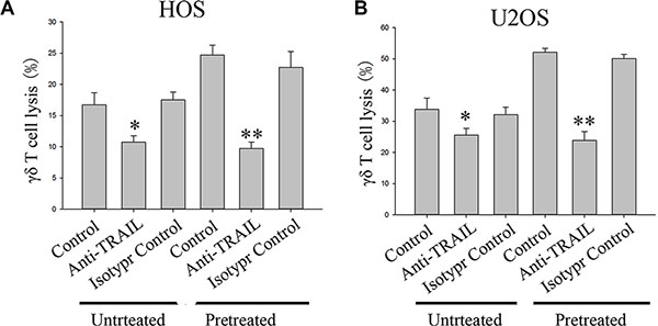 Effect of a neutralizing TRAIL antibody on cytotoxic lysis of OS cells by &#x03B3;&#x03B4; T cells from healthy donors.