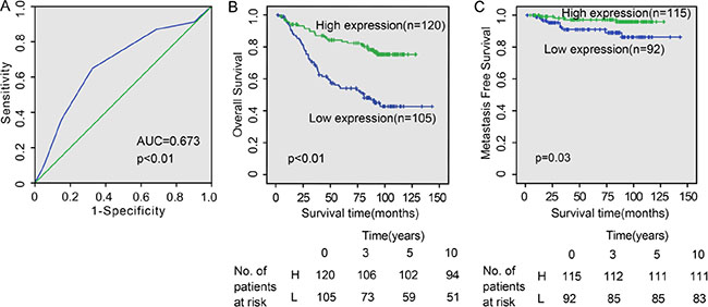 CFTR expression levels correlate with NPC patient survival.