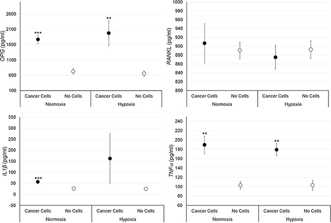 Protein releases (ELISA), expressed as total protein ratio (n = 3 replicates), in male bone fragments cultured with or without PC-3 cancer cells, both in normoxic and hypoxic conditions.