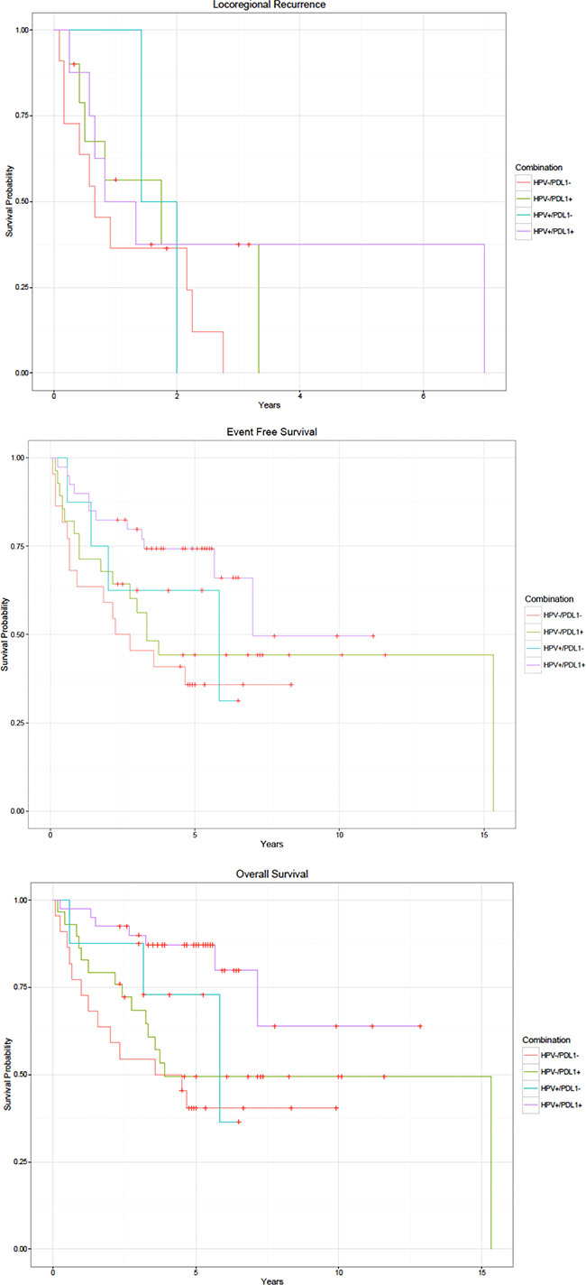 Kaplan-Meier curves by HPV and PD-L1 status.