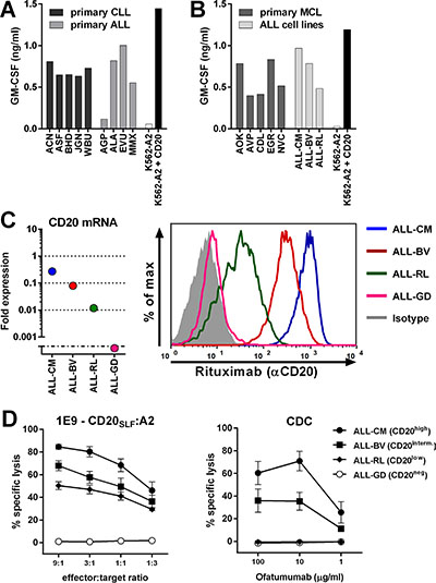 CD20-reactive T-cell clone 1E9 efficiently lyses CD20low B-cell malignancies unsusceptible to CD20-targeting antibodies.