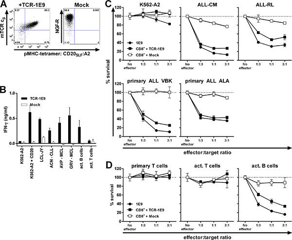 TCR gene transfer installs potent CD20-specific reactivity onto recipient CD8+ T-cells.