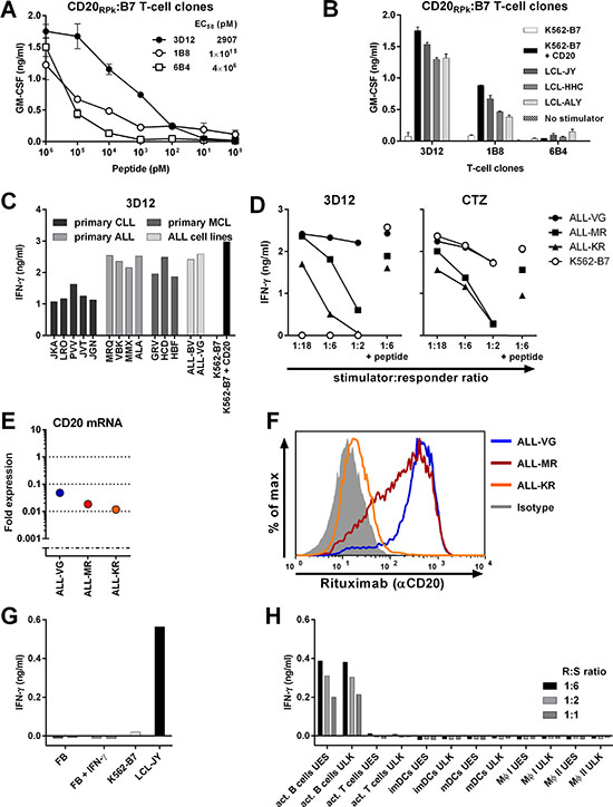 Identification of T-cell clone 3D12 recognizing CD20-derived peptide RPKSNIVLL in HLA-B7.