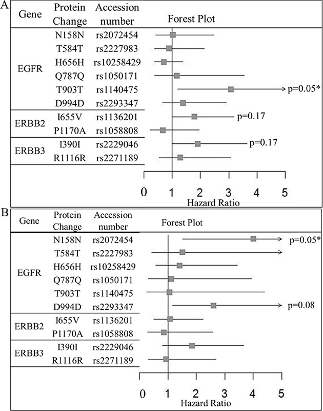 Forest plot of the impact of ERBB-family SNPs on (A) relapse free survival and (B) Overall survival of HER2-positive BC patients who have received adjuvant trastuzumab as part of their therapeutic regimen (n = 194).