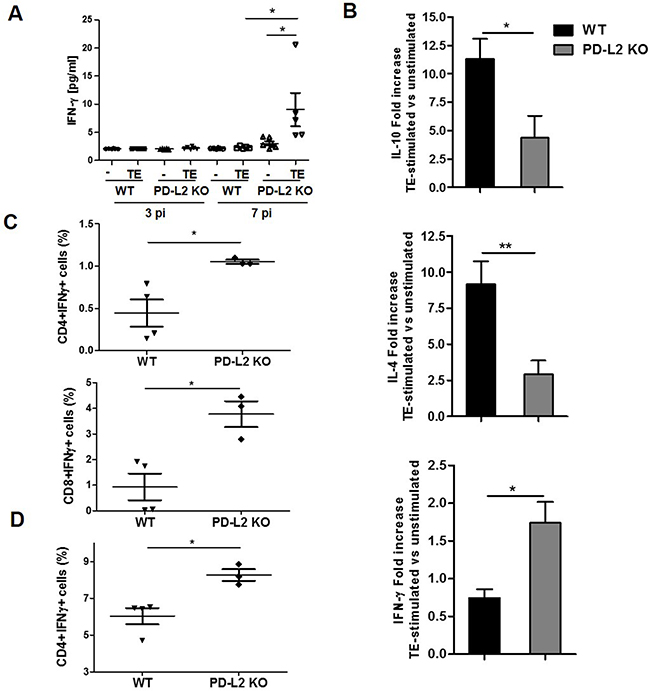 Th1 and Th2 cytokine levels in WT and PD-L2 KO infected mice.