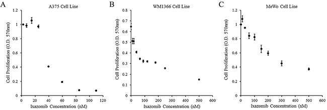 Treatment of human melanoma cell lines with ixazomib results in reduced tumor cell proliferation.