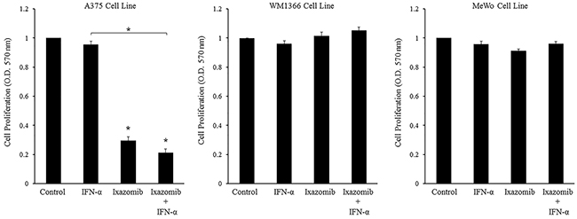 Ixazomib in combination with IFN-&#x03B1; results in reduced tumor cell proliferation in BRAF V600E mutant human melanoma cells.