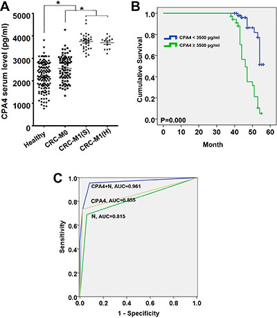 Estimated overall survival according to the expression of CPA4 in tissues and serum samples of colorectal cancer (CRC).