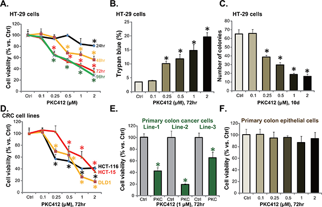 PKC412 inhibits CRC cell survival and proliferation.