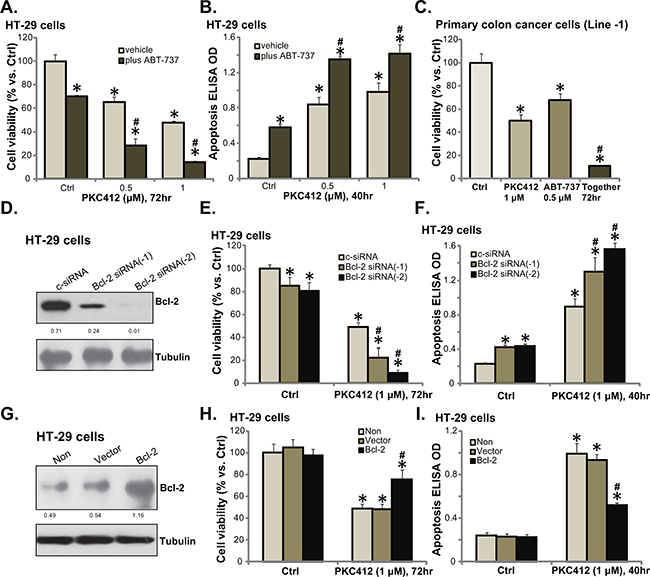 Bcl-2 is a primary resistance factor of PKC412 in CRC cells.