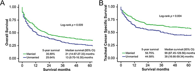 Survival curves in patients with tracheal cancer according to marital status, married vs.