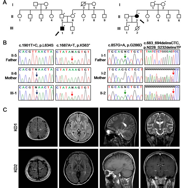 Identification of the disease-causing mutations of