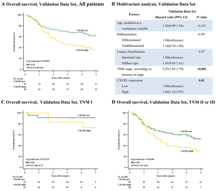 Relation between CXCR1 expression and overall survival in the validation data set.