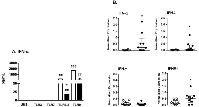 Agonists of TLR7/8 and TLR9 are able to induce IFN-I secretion in SS patient cells.