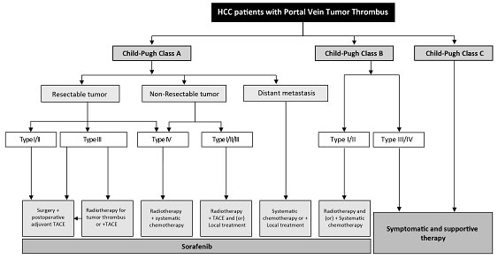 Diagnosis and treatment of HCC with PVTT