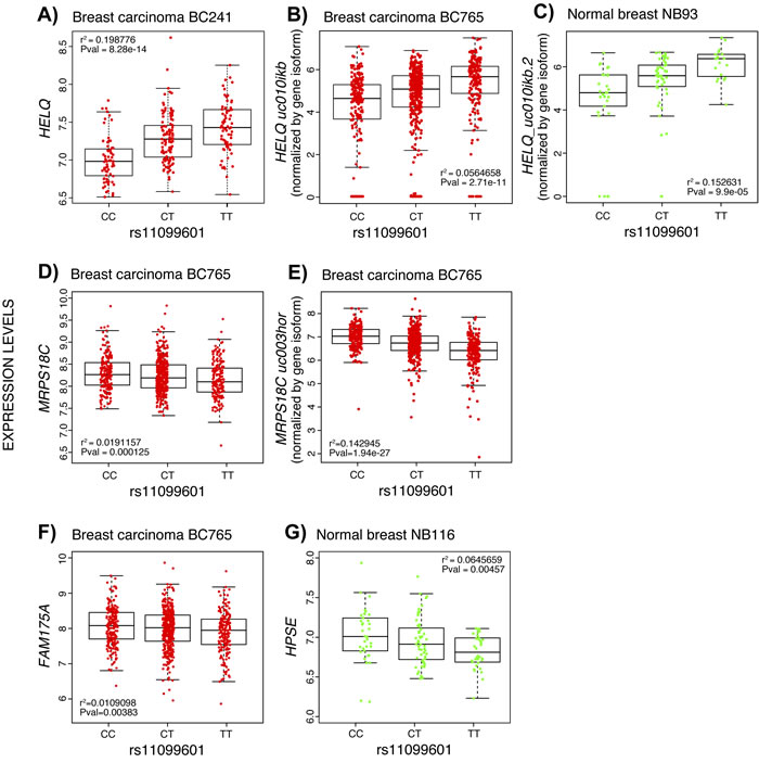 Boxplots representing the most significant eQTL results for variant rs11099601 in normal breast tissue and breast tumor datasets.