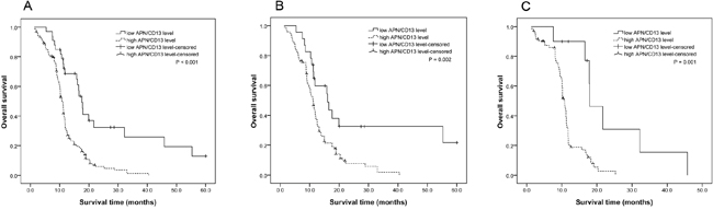 Survival curves for pancreatic cancer patients with different levels of serum APN/CD13.