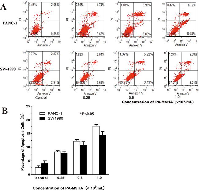 Flow cytometric analysis of apoptosis in response to PA-MSHA treatment of pancreatic cancer cells.