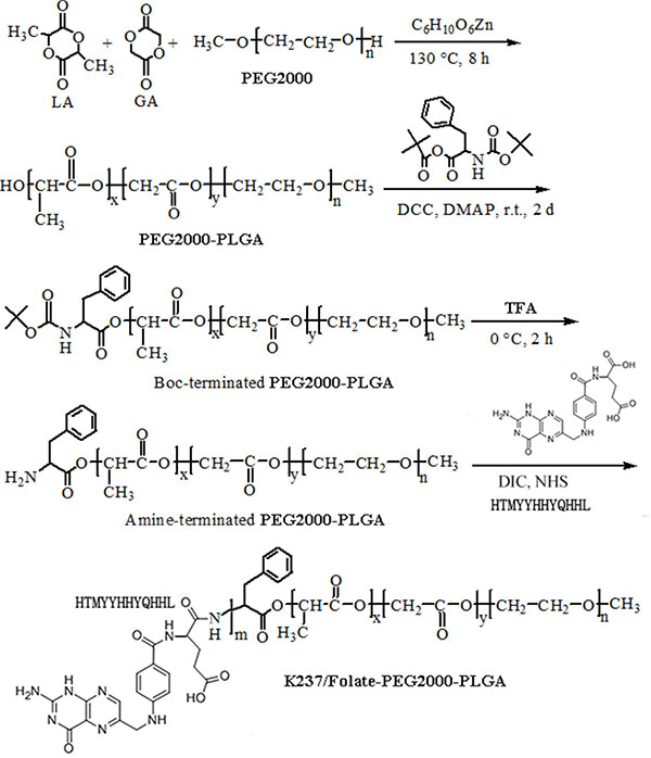 Scheme 1: Schematic depiction of K237/FA-PEG-PLGA copolymer synthesis.